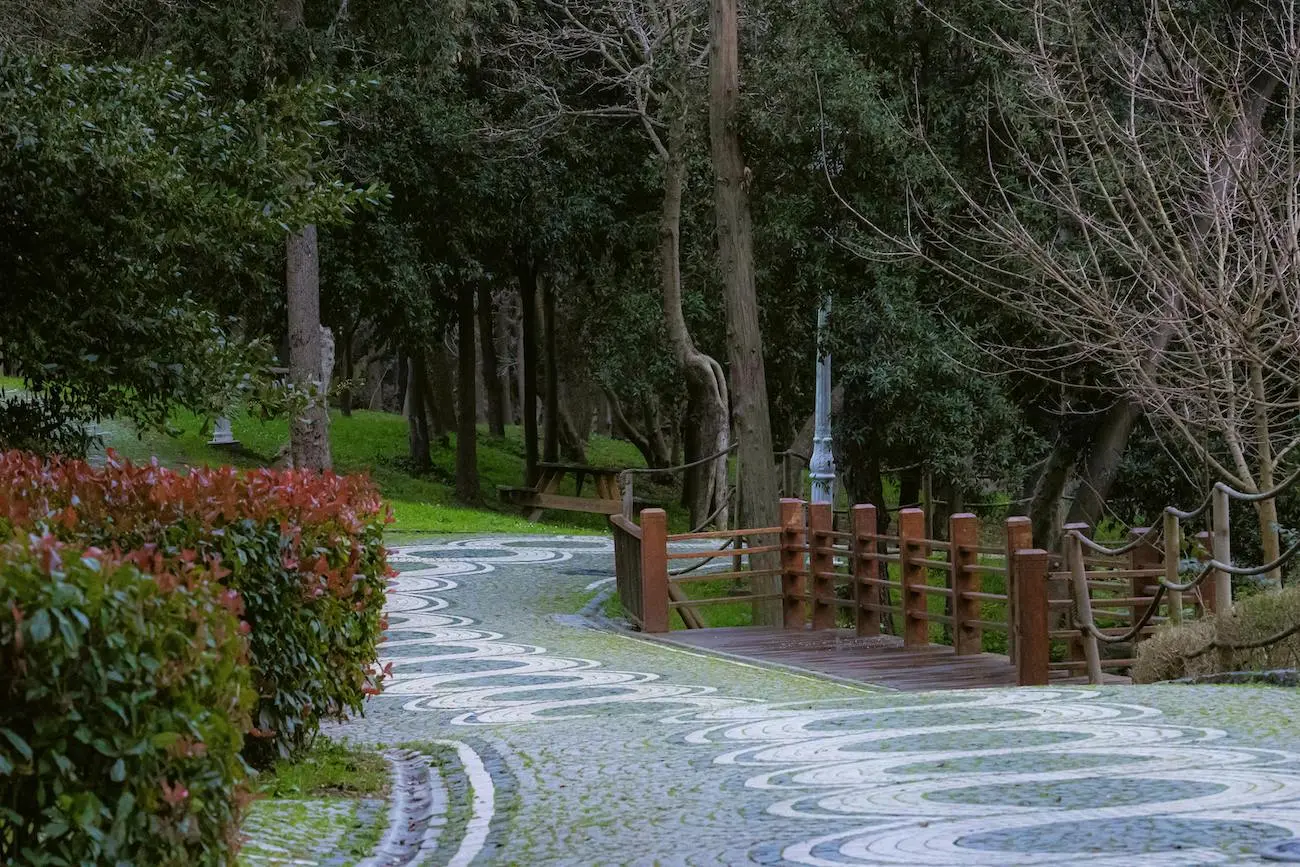 Forest in Istanbul